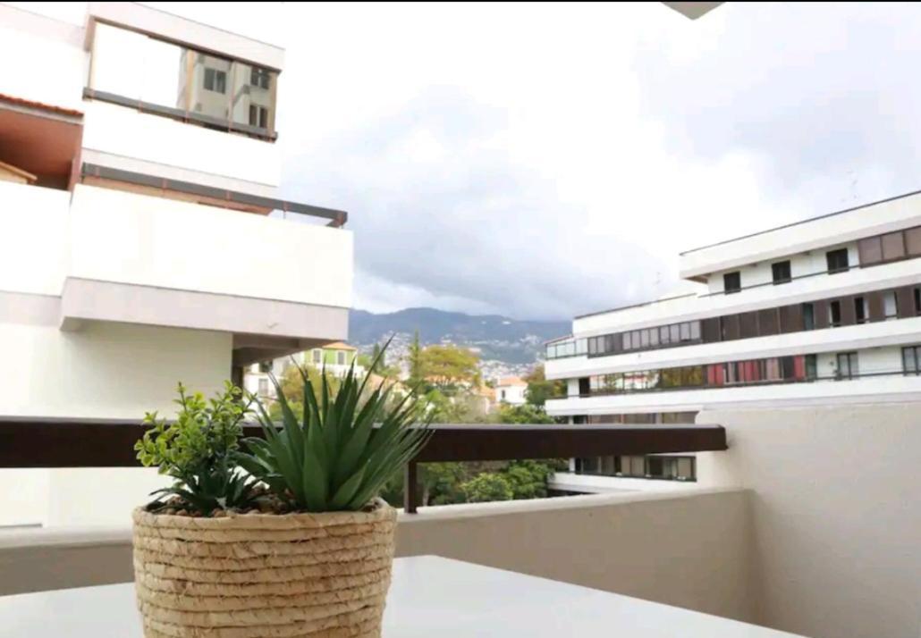 Vista Infante Apartments Funchal  Zewnętrze zdjęcie